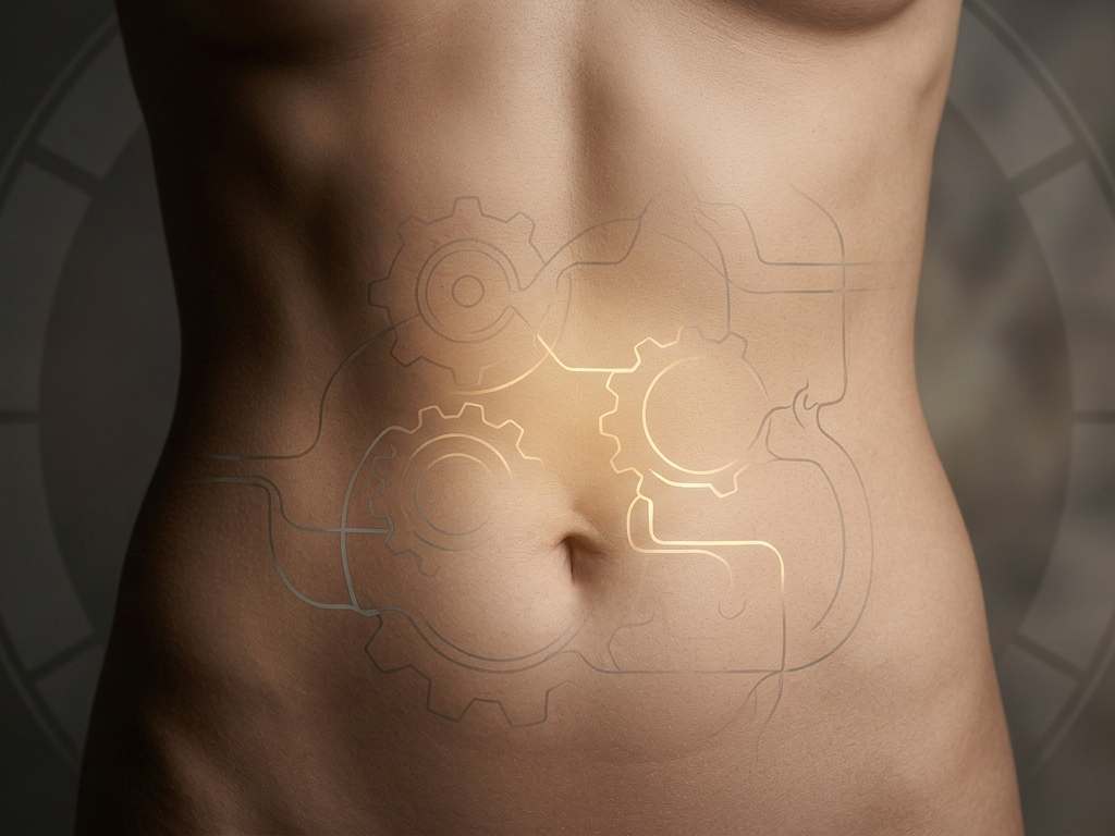 Why Your Metabolism Feels Broken (And How to Reset It in 8 Weeks)