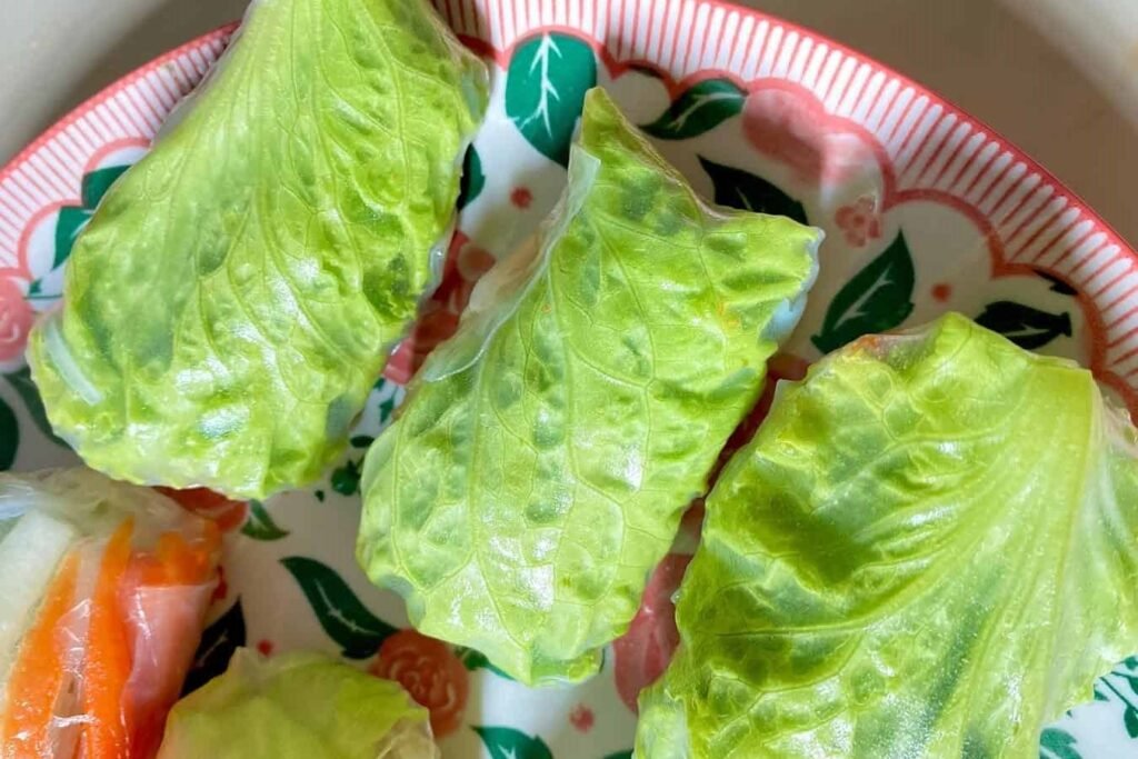 Rice Paper Cabbage Rolls