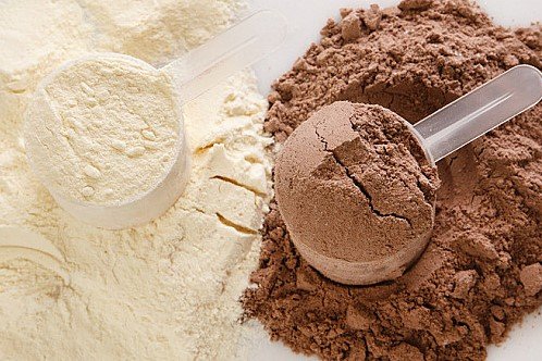 Protein Powder