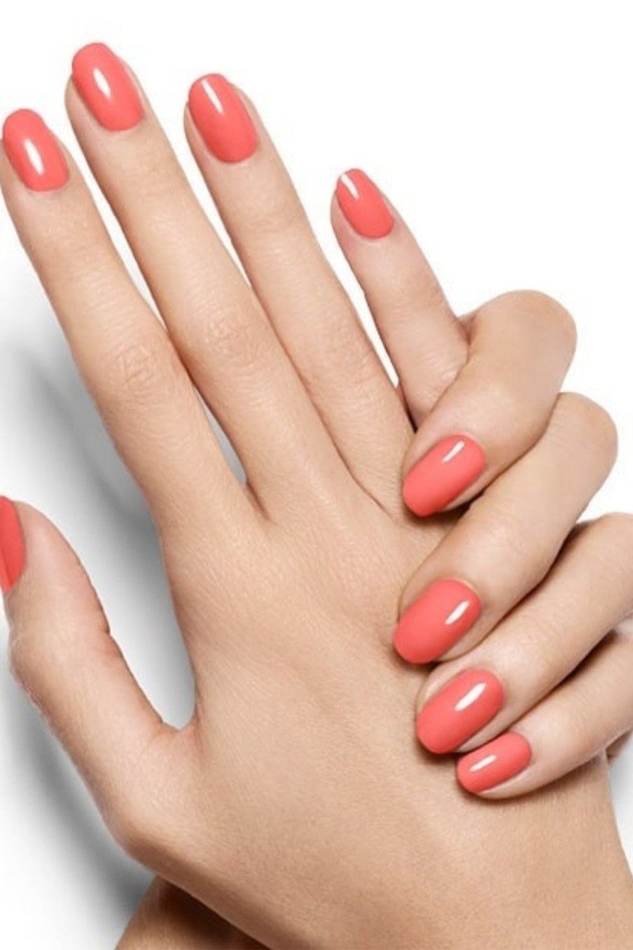 Coral oval nails on white background