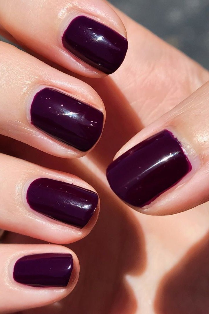 Dark plum oval nails glossy