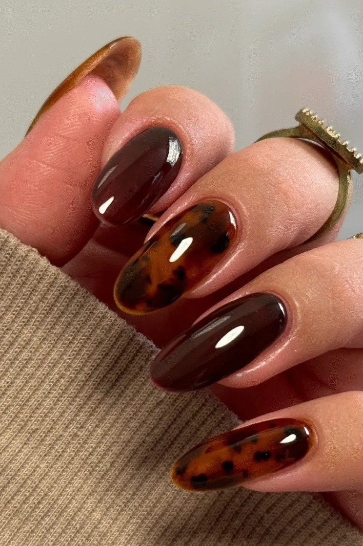 Espresso Nails with Tortoise Accent, chocolate brown fall nail design for women over 60