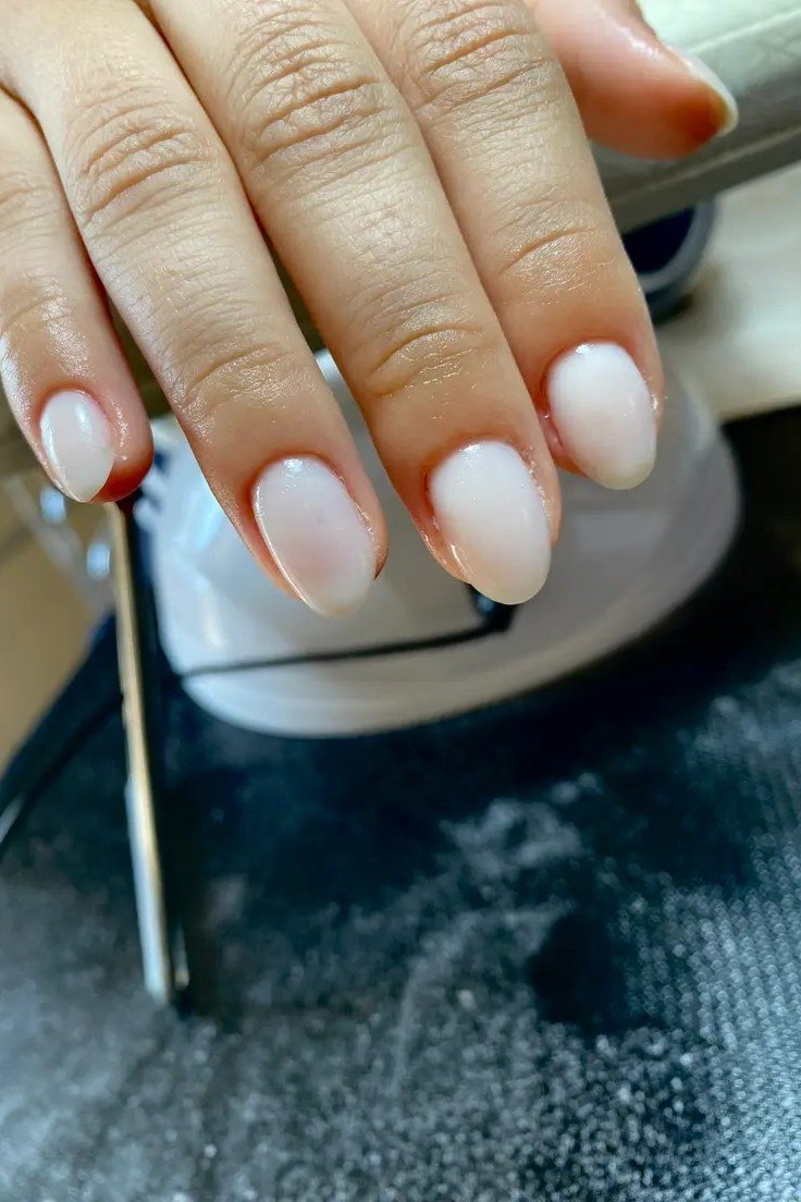 Short French builder gel manicure during salon service, lamp backdrop