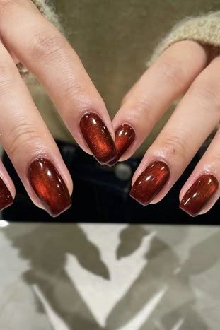 Amber Tortoise Velvet Round Nails, cashmere velvet nails for women over 50