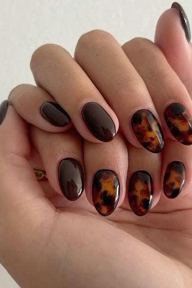 Short tortoise and brown round nails