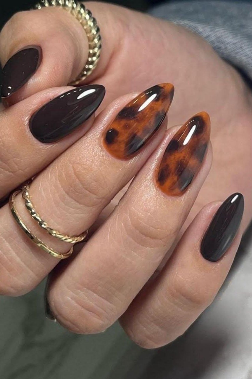 Dark oval nails with tortoise accents and rings