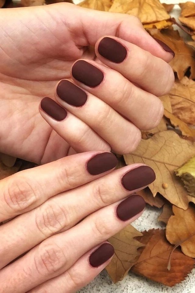 Matte chocolate short square nails for women over 60