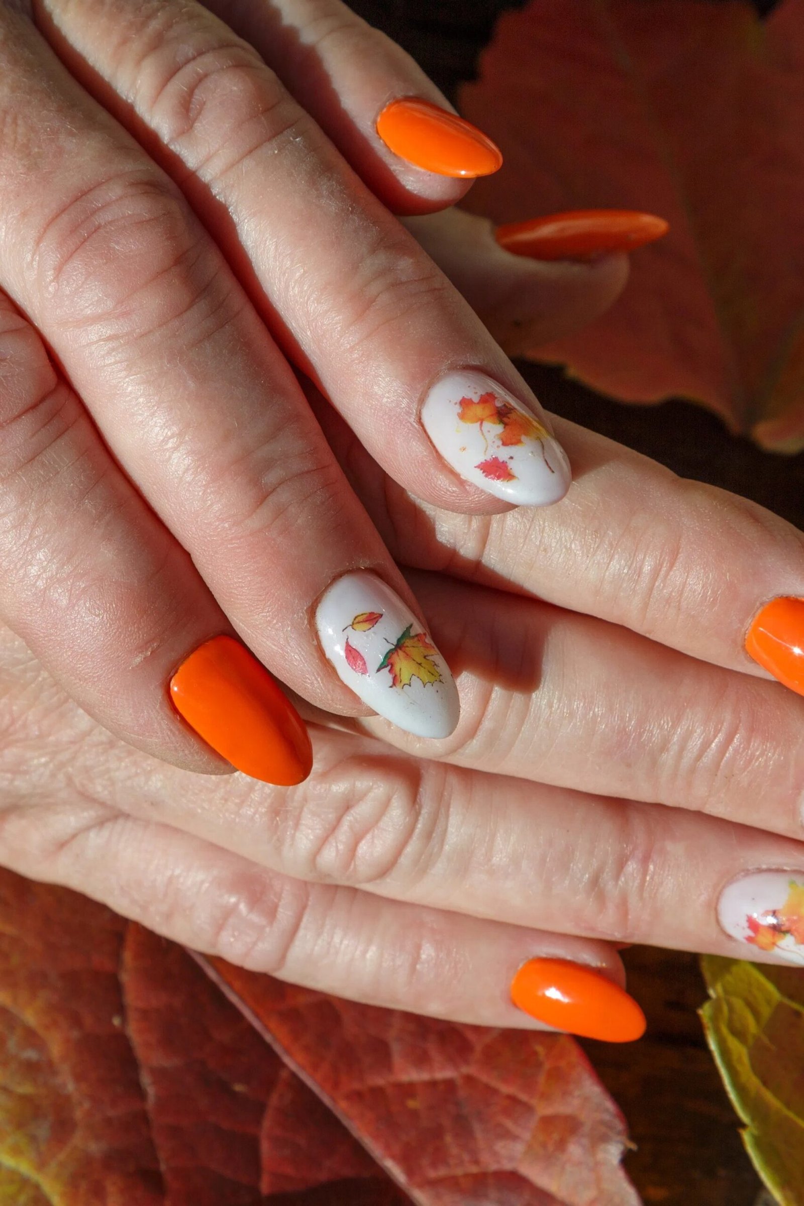 Burnt orange nails with white autumn flower accent art