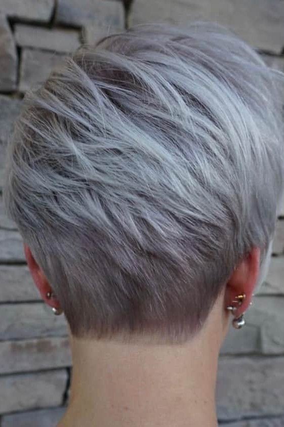 Stacked Silver-Gray Pixie-Bob, Back View - hush cut hairstyle for women over 50, idea 13
