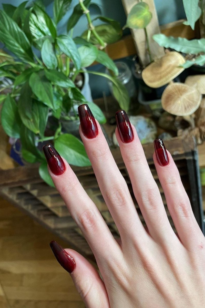 Burgundy jelly stiletto nails, glossy, hand with plant - jelly nail idea for women over 60