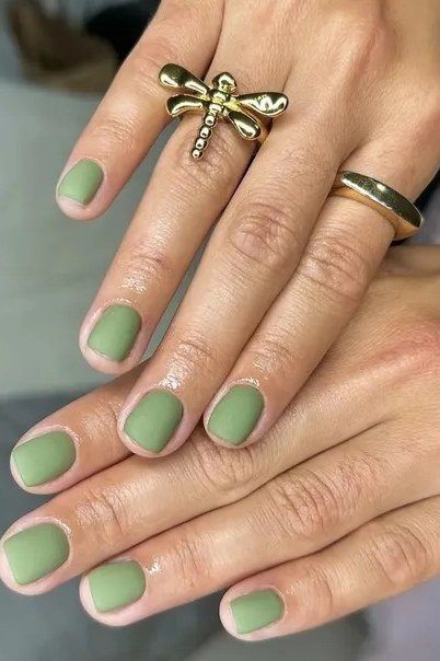 Sage Green Short Solids, classy short fall nails for women over 50