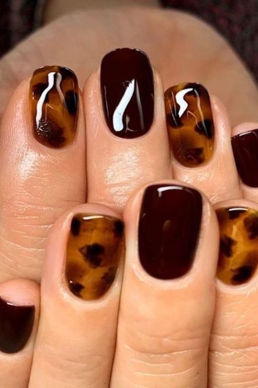 Burgundy Solids with Tortoise Accents, classy short fall nails for women over 50